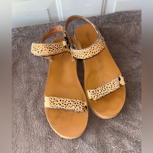 Madewell leopard print calf hair sandals size 9